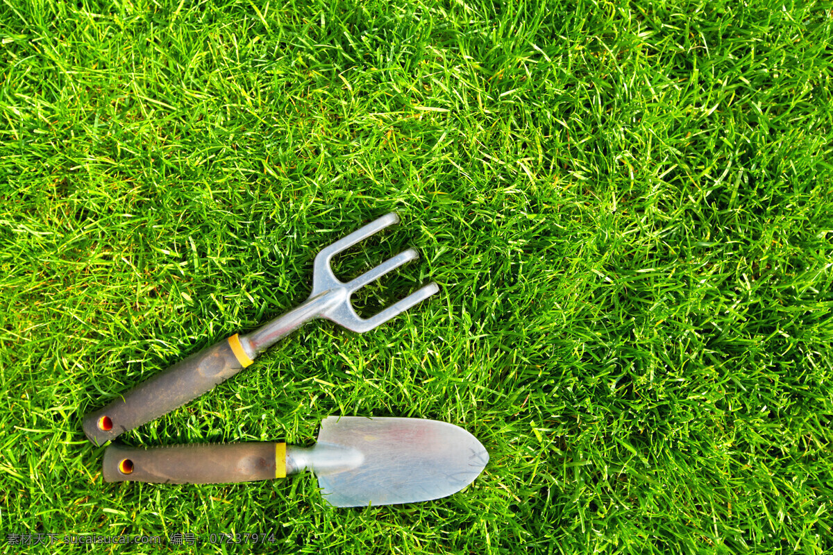 草坪 上 铁 叉 铁锹 铁叉 草地 绿色植物 劳动工具 其他类别 生活百科