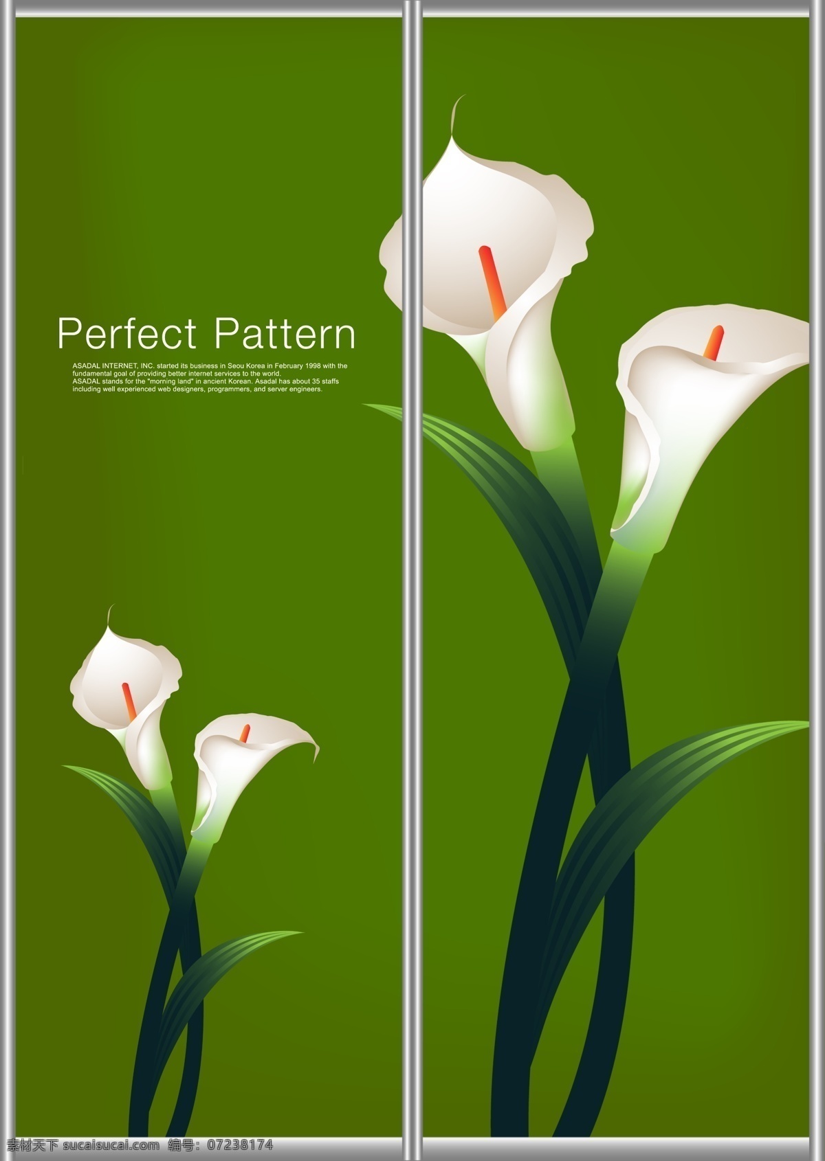 绿色 背景 白色 郁金香 模版下载 背景底图 花卉 白花