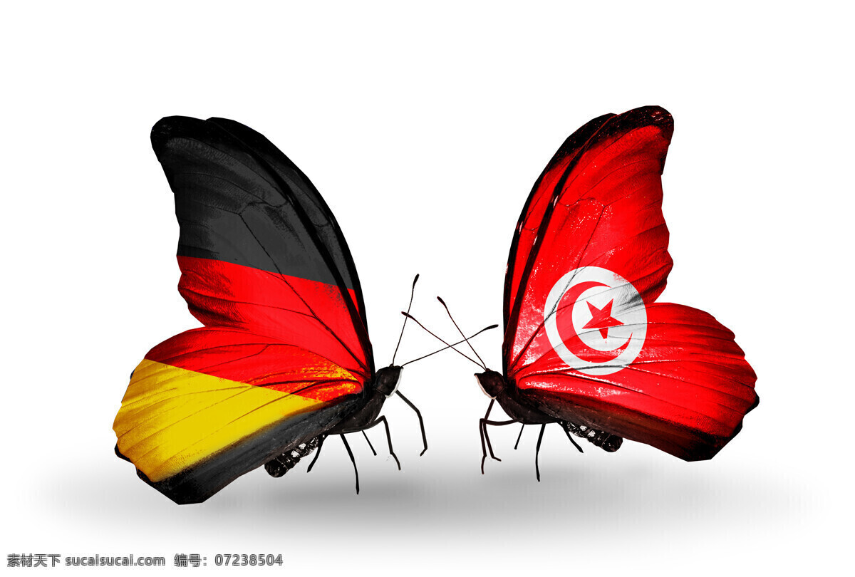 蝴蝶 身上 德国 突尼斯 国旗 旗帜 国家标志 国旗图片 生活百科
