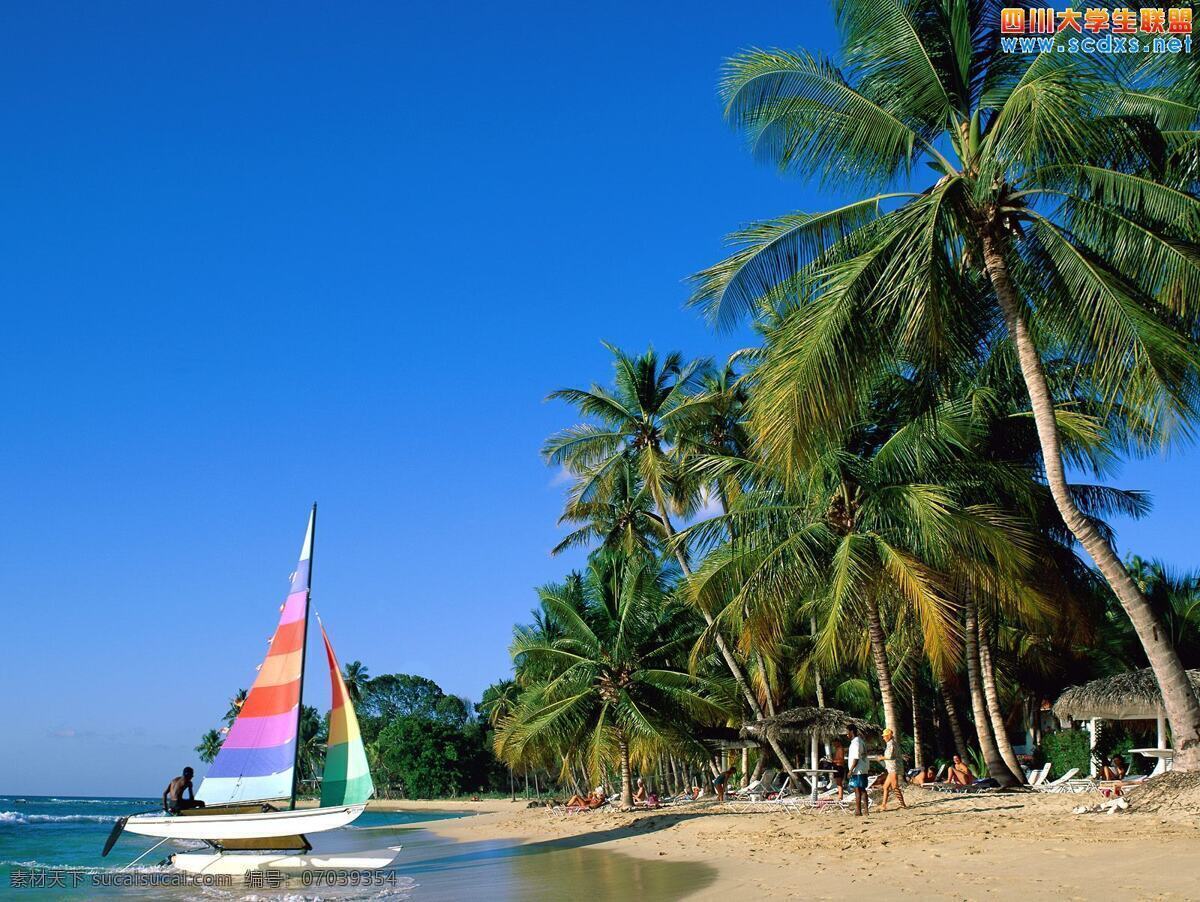 海边 椰树 海边风景 海边风景画 海边风景图 海边风景照 海边景色 海边沙滩 海边沙滩风景 海边椰树 风景 生活 旅游餐饮