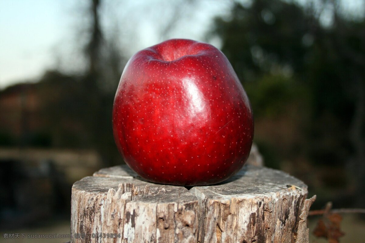 美味 诱人 红色 蛇果 高清 红苹果 苹果 特写
