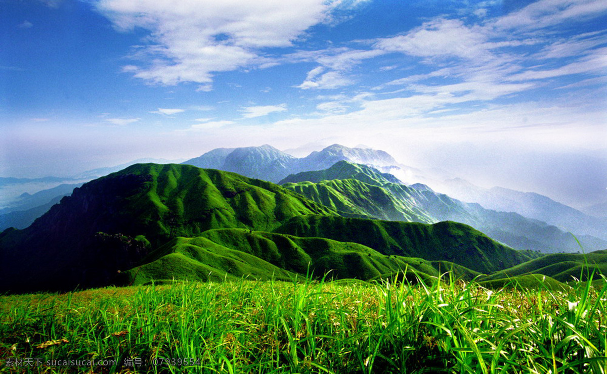 安福 武功山 草 山 树 多媒体 影视编辑 影视特效素材