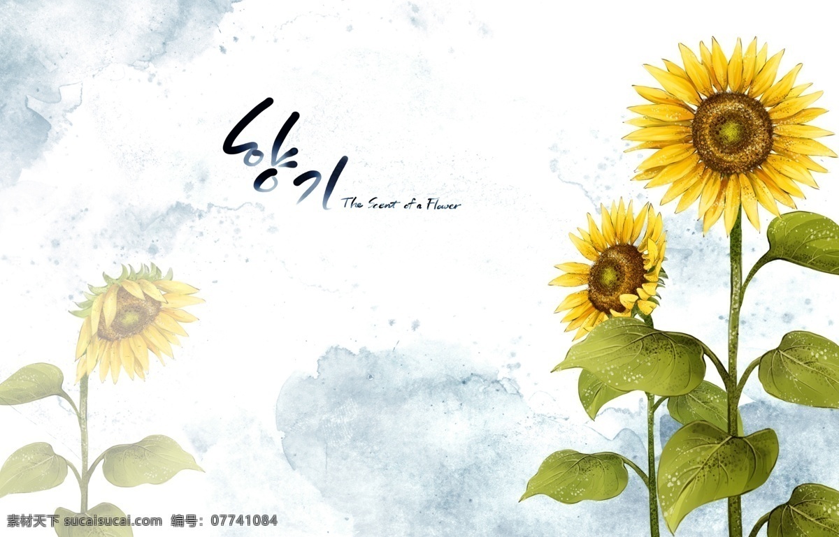 蓝天 白云 下 向日葵 背景 源文件 黄色 绿色 天空 韩文 装饰图案