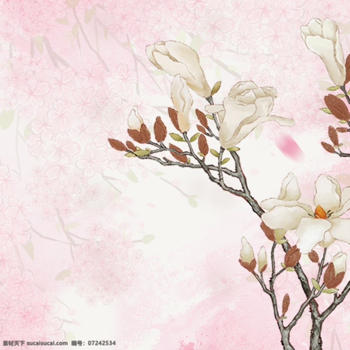 粉色 淡雅 木兰花 化妆品 清新 海报 背景 粉色花朵 淡雅花朵 鲜花 花朵 花卉 花草 植物花朵