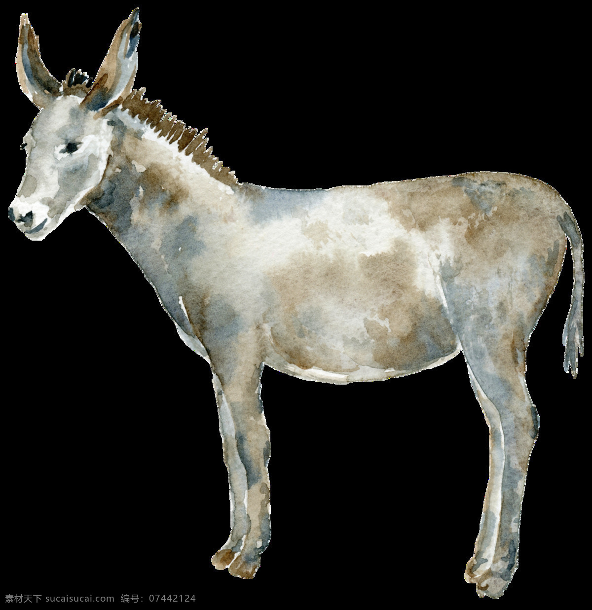 奔驰 小 驴 透明 彩绘 动物 驴子 透明素材 免扣素材 装饰图案