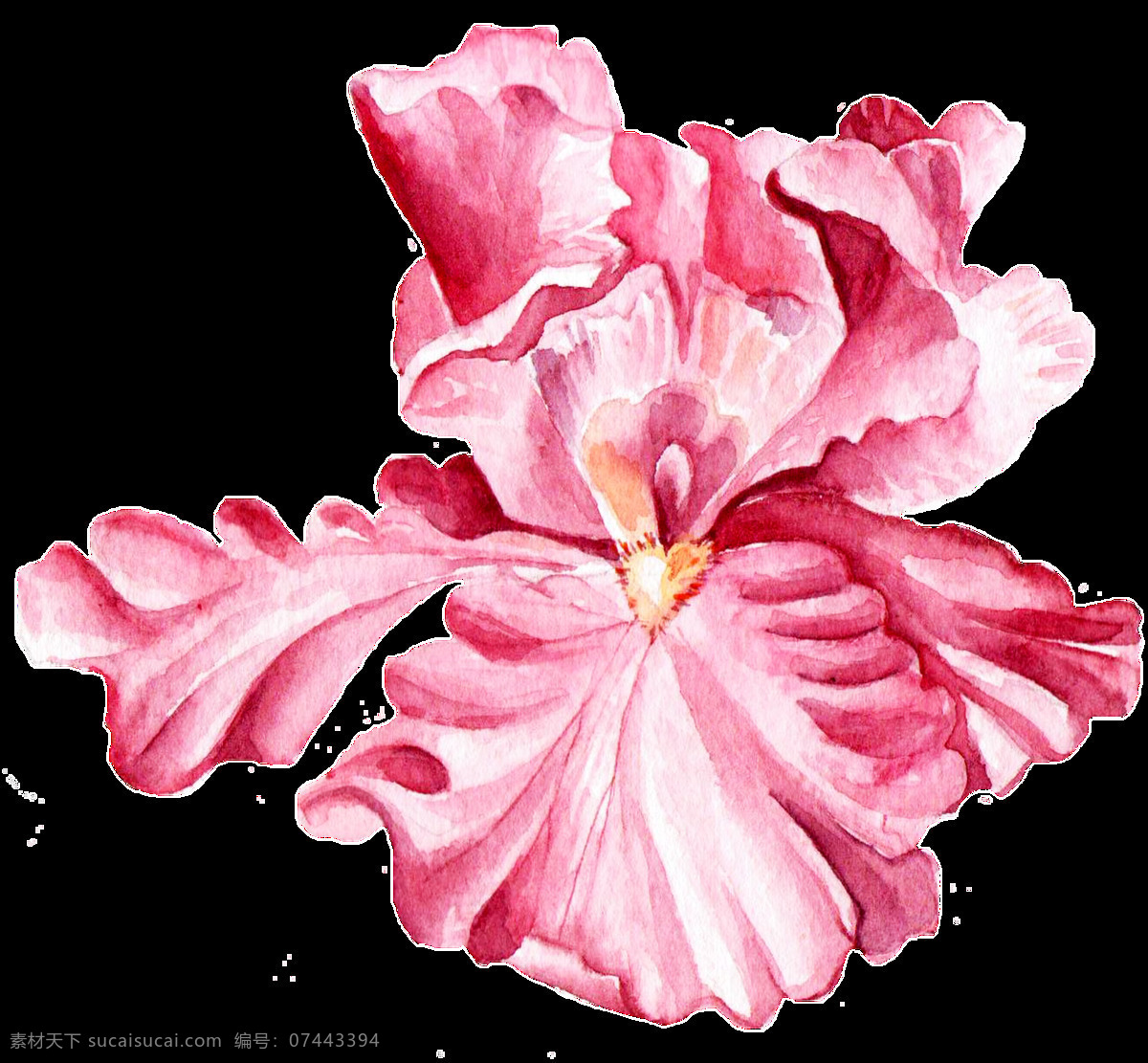 暗 粉 花蕊 透明 装饰 粉色 花瓣 免扣素材 透明素材 装饰图案
