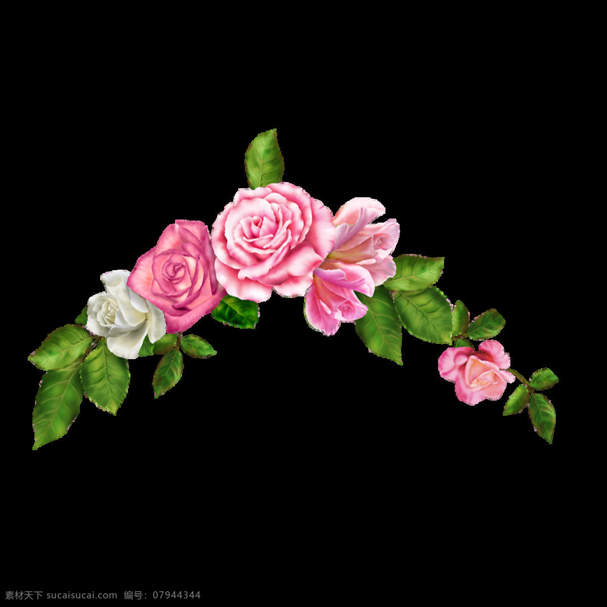 装饰 玫瑰 花朵 元素 植物