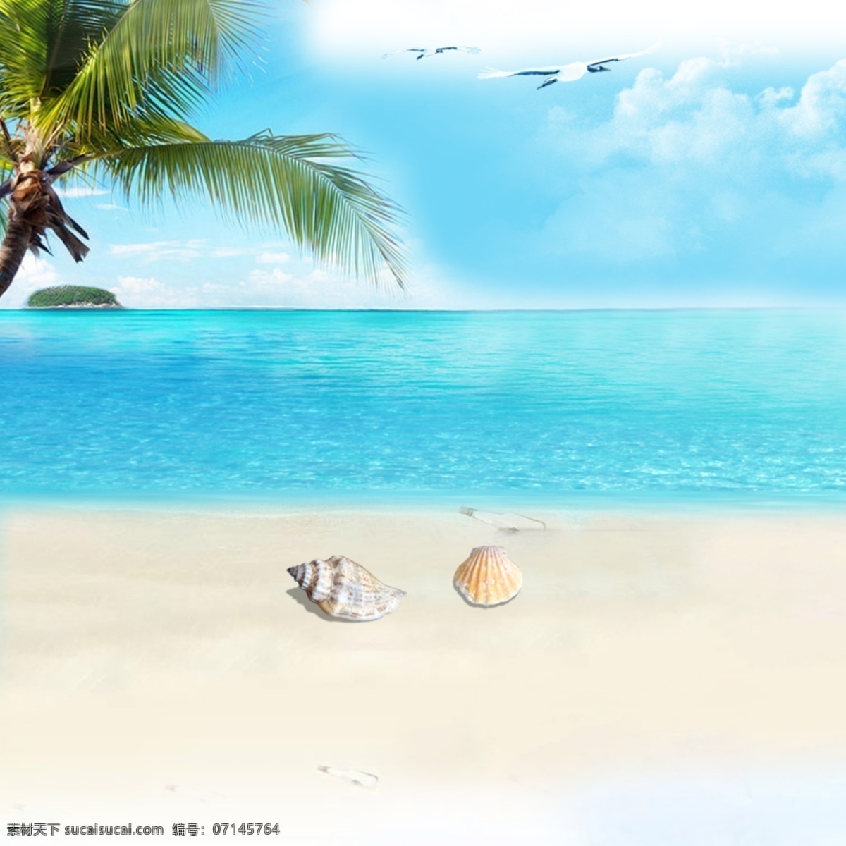 夏日 清新 沙滩 贝壳 椰树 背景 白色