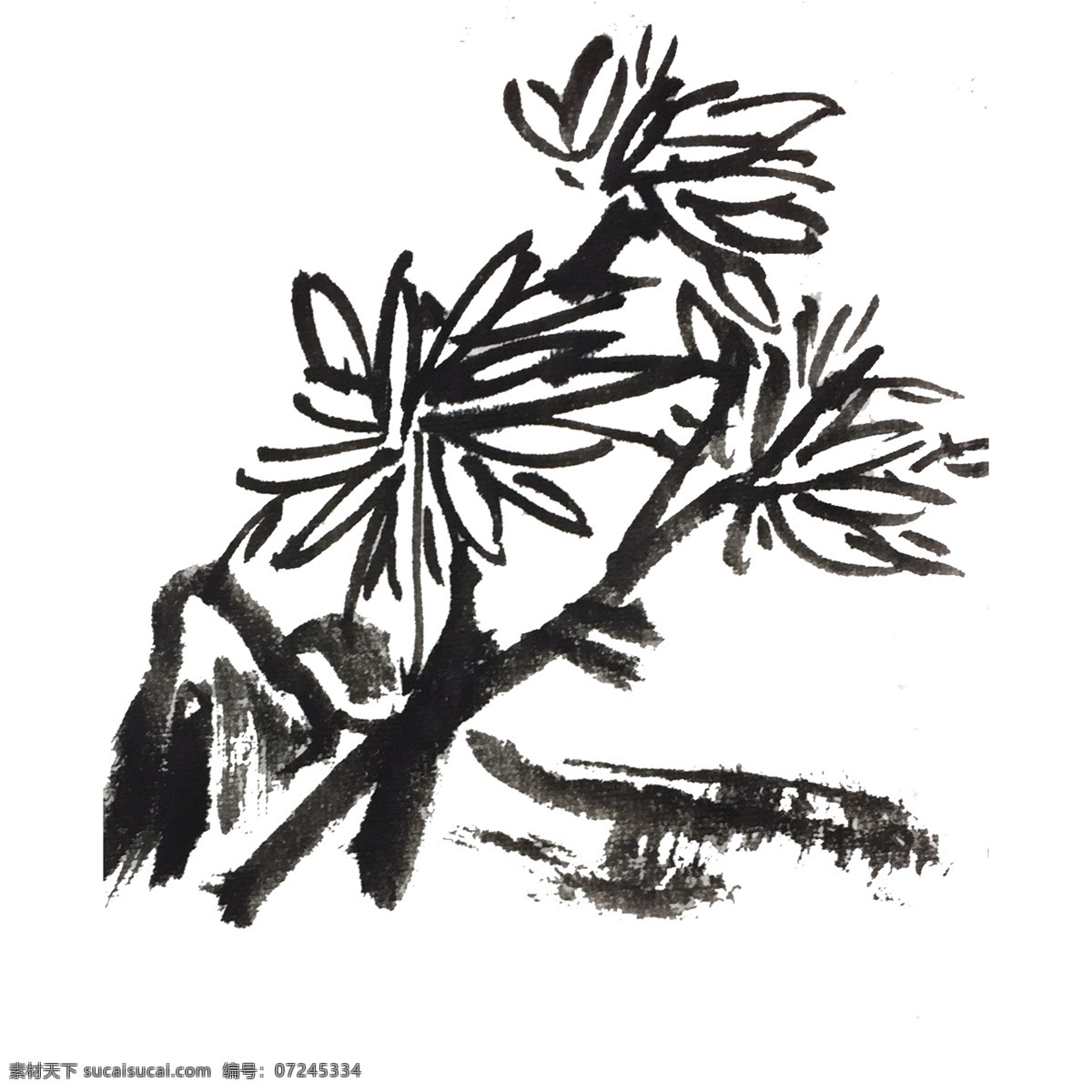 水墨 手绘 菊花 墨菊 中国风 动物 古风 墨迹 夏季 彩色 插画 昆虫 春天 生动 绿色 蓝色 飘逸 飞行