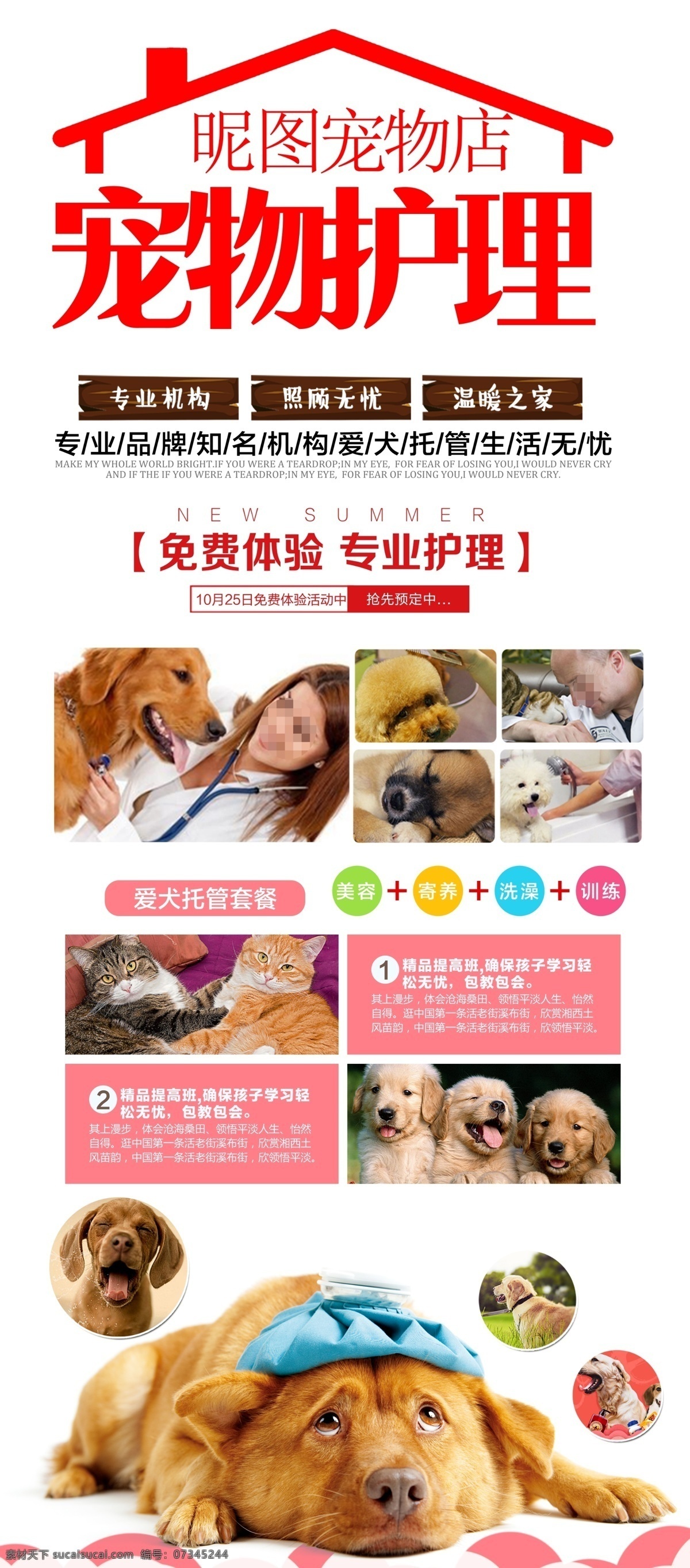 宠物护理 宠物海报 宠物交易 宠物买卖 宠物店 宠物医院 宠物狗 宠物猫 宠物犬 宠物店海报 宠物促销 宠物食品 宠物 宠物诊所 宠物广告 宠物市场 保护宠物 宠物洗澡 宠物用品 宠物展板 宠物素材 宠物领养 宠物图片 宠物图 宠物之家 萌宠 爱护宠物 宠物寄存