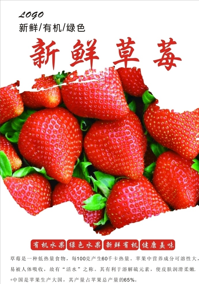 摘草莓 草莓园 新鲜草莓 草莓采摘园 创意草莓海报 绿色山水 草莓大图 草莓种植 草莓广告 草莓水果 水果草莓 草莓文化 草莓展板 水果店草莓 草莓灯箱 草莓宣传 草莓批发 绿色草莓 草莓专卖 水果皇后 草莓节 水果采摘 高清草莓 牛奶草莓 草莓照片 美味草莓 超市草莓 草莓采摘