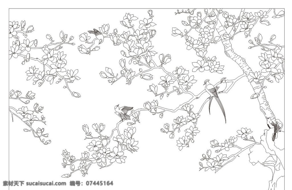 玉兰小鸟 艺术玻璃 深雕玻璃 背景图案 艺术玻璃图案 深雕图案 图案 玻璃图案 工艺玻璃 玻璃雕刻图案 玻璃矢量图 矢量 线条图 雕花玻璃 装饰画 屏风 玄关 隔断 电视背景墙 背景墙 白描 线描 树 玉兰 花卉 玉兰花 小鸟 cdr矢量图