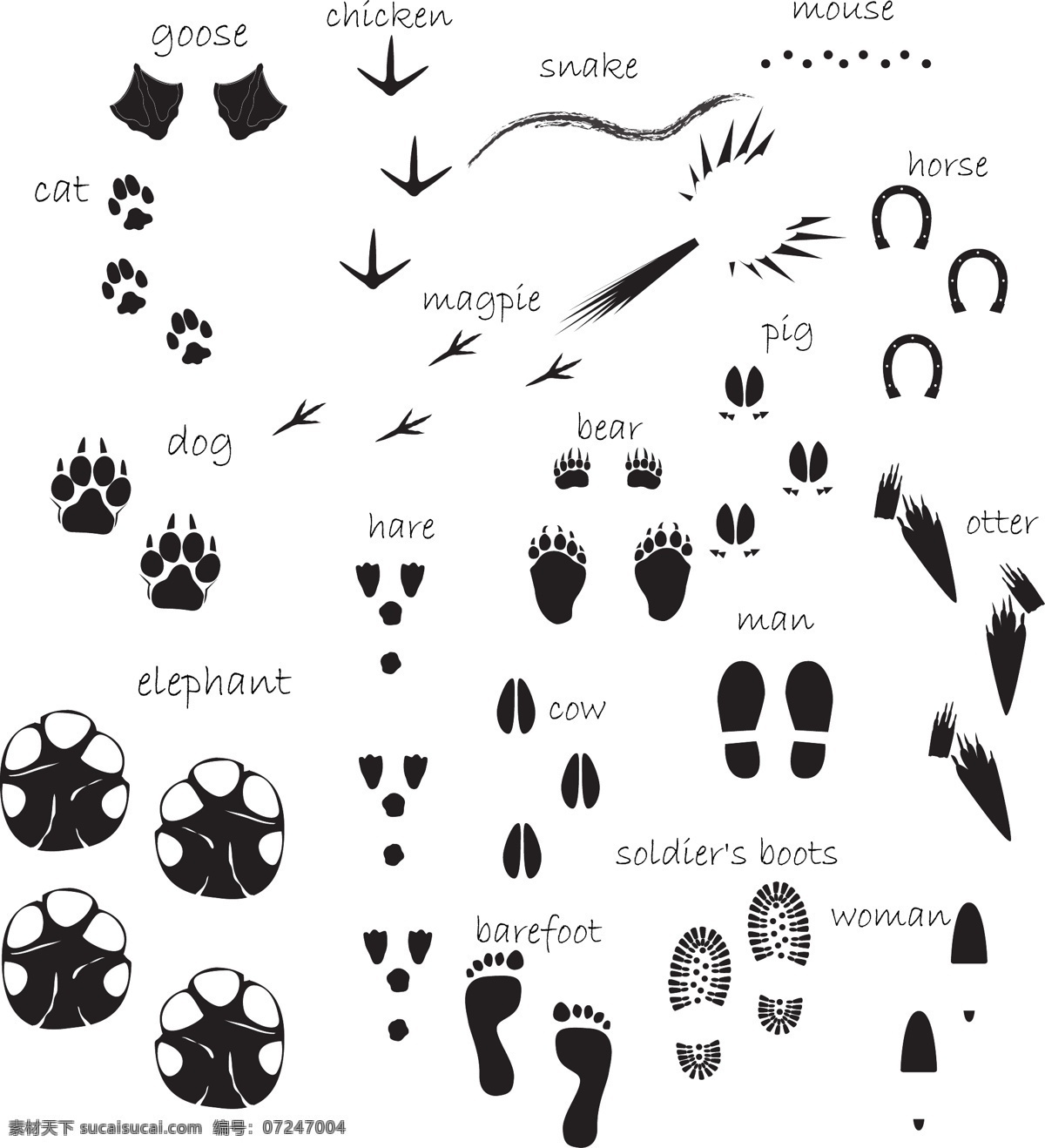 动物脚印图片素材-编号39406688-图行天下