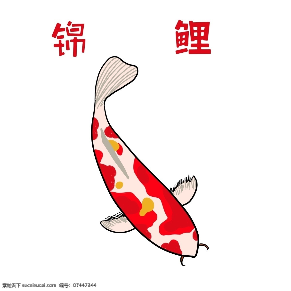 手绘 动物 锦鲤 插画 黑色的胡须 游动的鲤鱼 卡通插画 手绘动物插画 红色的锦鲤 白色的鱼尾