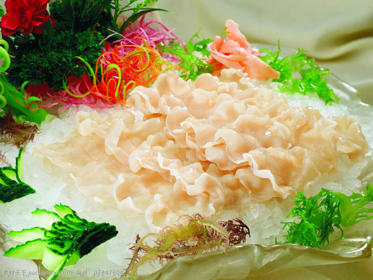 象拔蚌刺身 蚌刺身 冰块 青菜 装饰花 青瓜 拍摄图片素材 餐饮美食