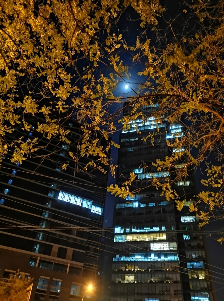 cbd夜景 北京 远洋中心 夜景 夜晚 月色 月亮 树 灯光