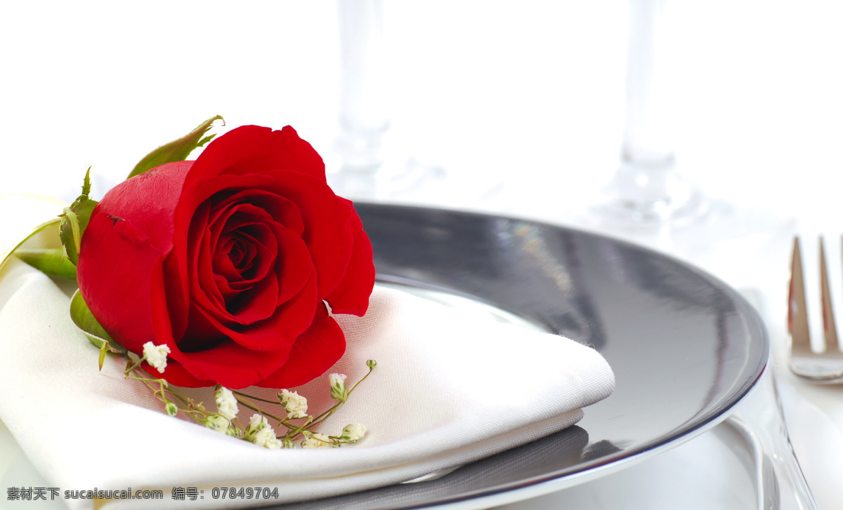 情人节 玫瑰花 节日素材 浪漫 爱情 红玫瑰 鲜花 花朵 节日庆典 生活百科