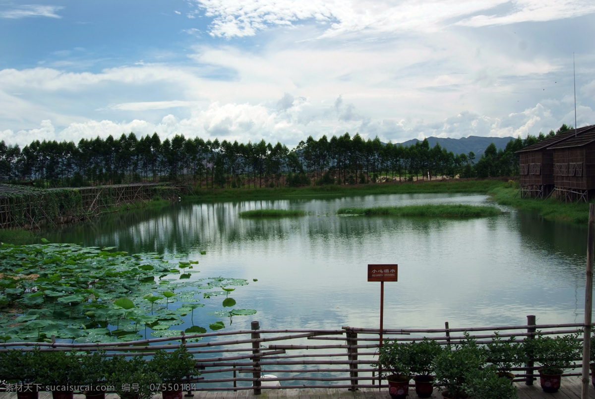 荷花鱼塘 荷花 鱼塘 农庄 蓝天 白云 御 温泉 风光 自然风景 荷叶 池塘 荷塘 旅游摄影