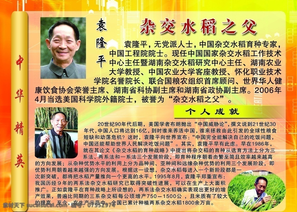 中华精英 科学家 红色背景 杂交水稻之父 袁隆平 展板模板 广告设计模板 源文件