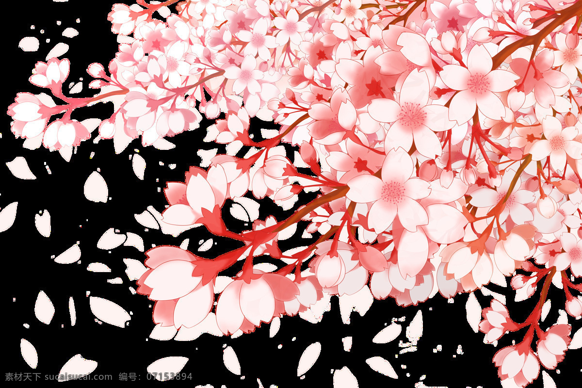 清新 黄褐色 花枝 樱花 装饰 元素 清新风格 装饰元素 花环 深色花蕊 白色 粉色