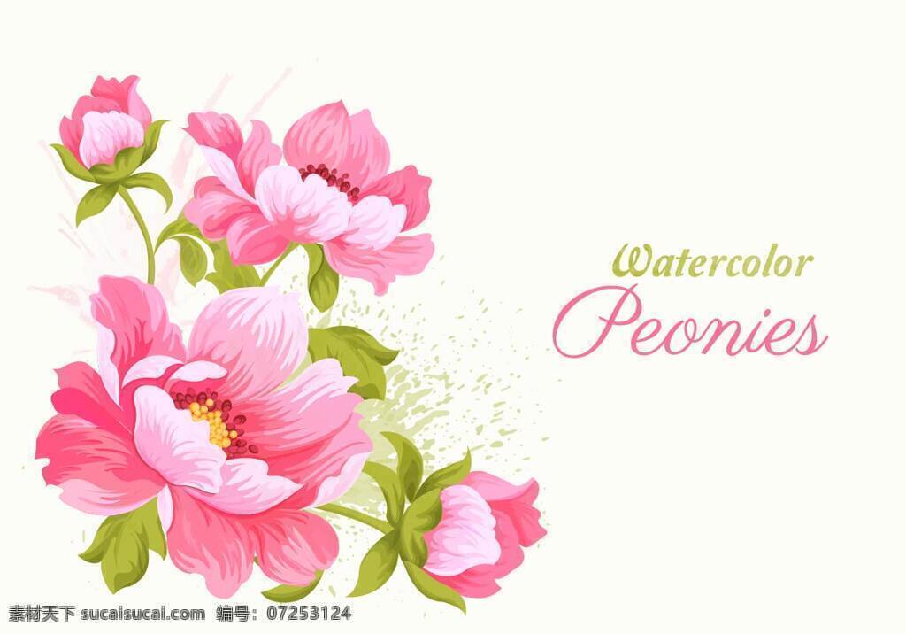 水彩 粉红 牡丹卡 背景壁纸 设计元素 花卉和漩涡 矢量艺术 婚礼