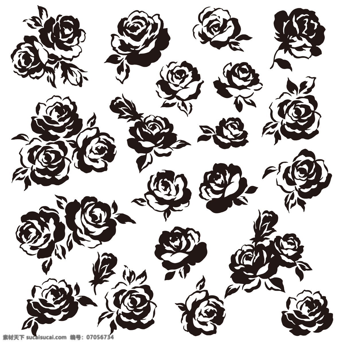 黑白玫瑰花 黑白 植物 玫瑰花 手绘