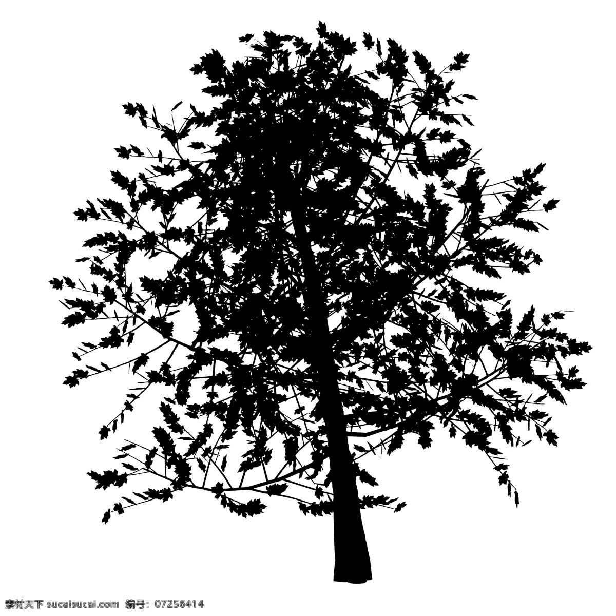 黑色 植物 树木 剪影 树枝 树干 涂鸦 图案 简约 绘画 树叶 树苗 素描 椰子树