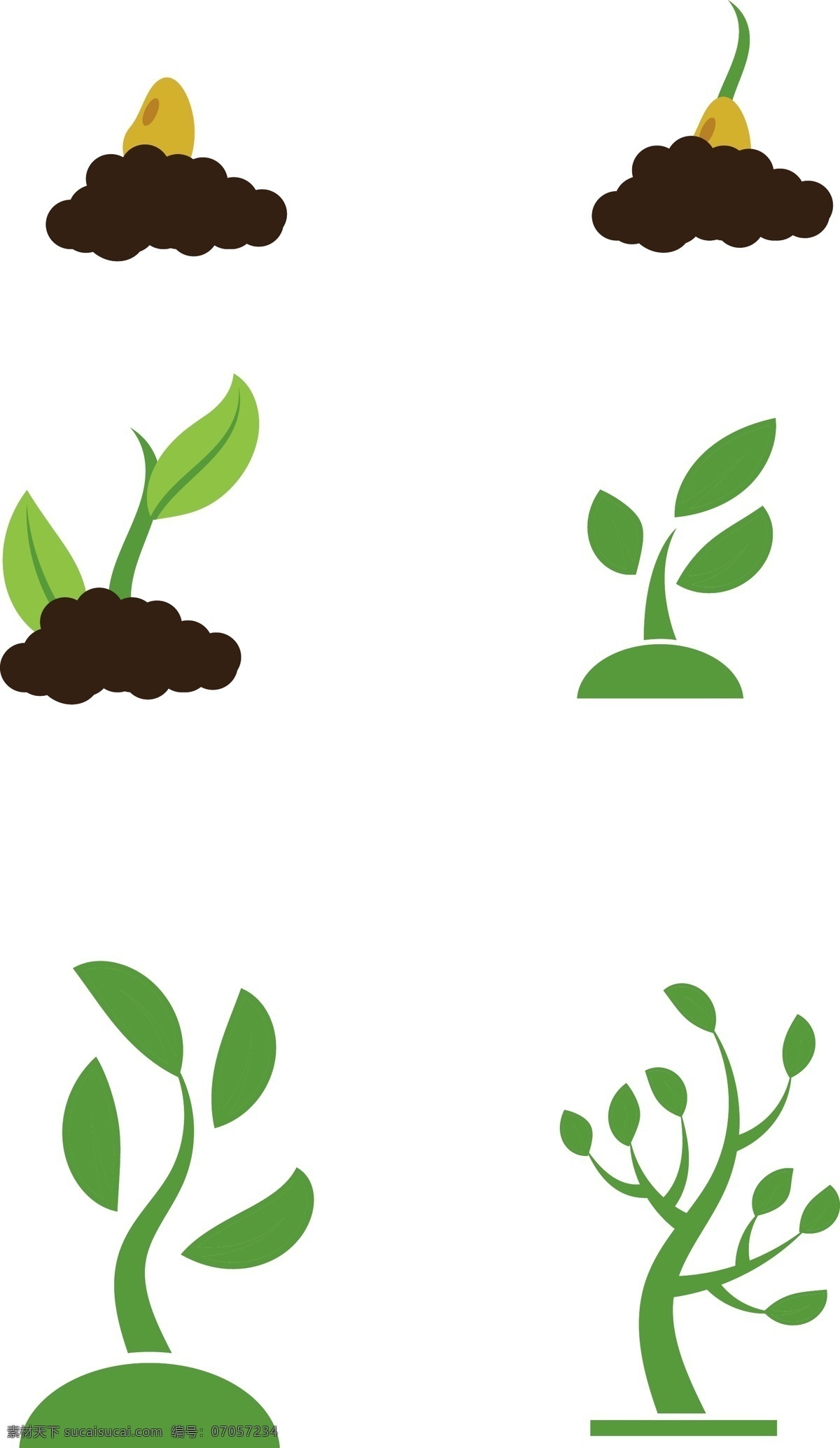 植物 成长 过程 矢量 元素 生长 树 种子
