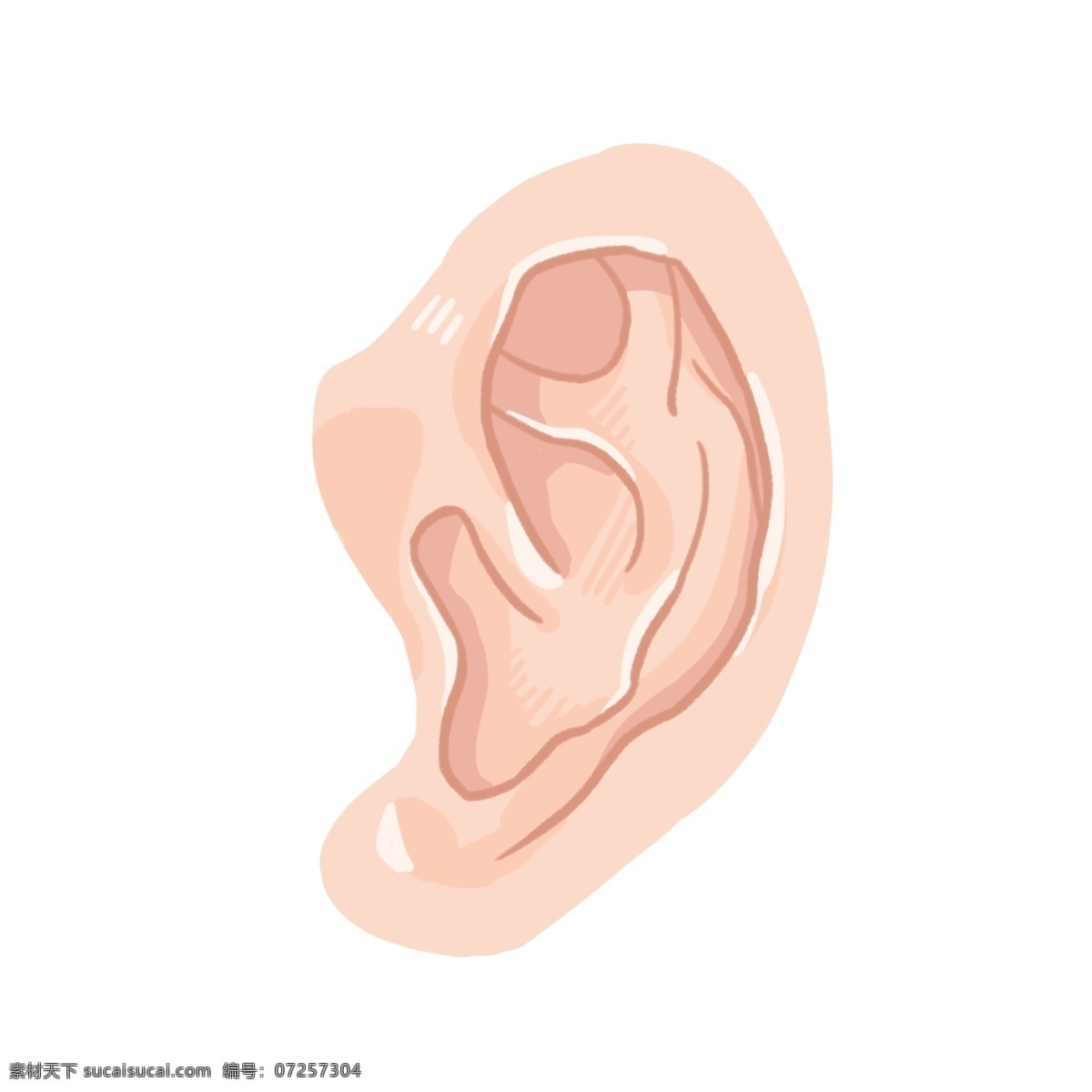 卡通 人体 耳朵 插画 耳朵插画 人体器官 卡通耳朵插画 黄色的皮肤 器官插画 听觉器官 创意耳朵插画