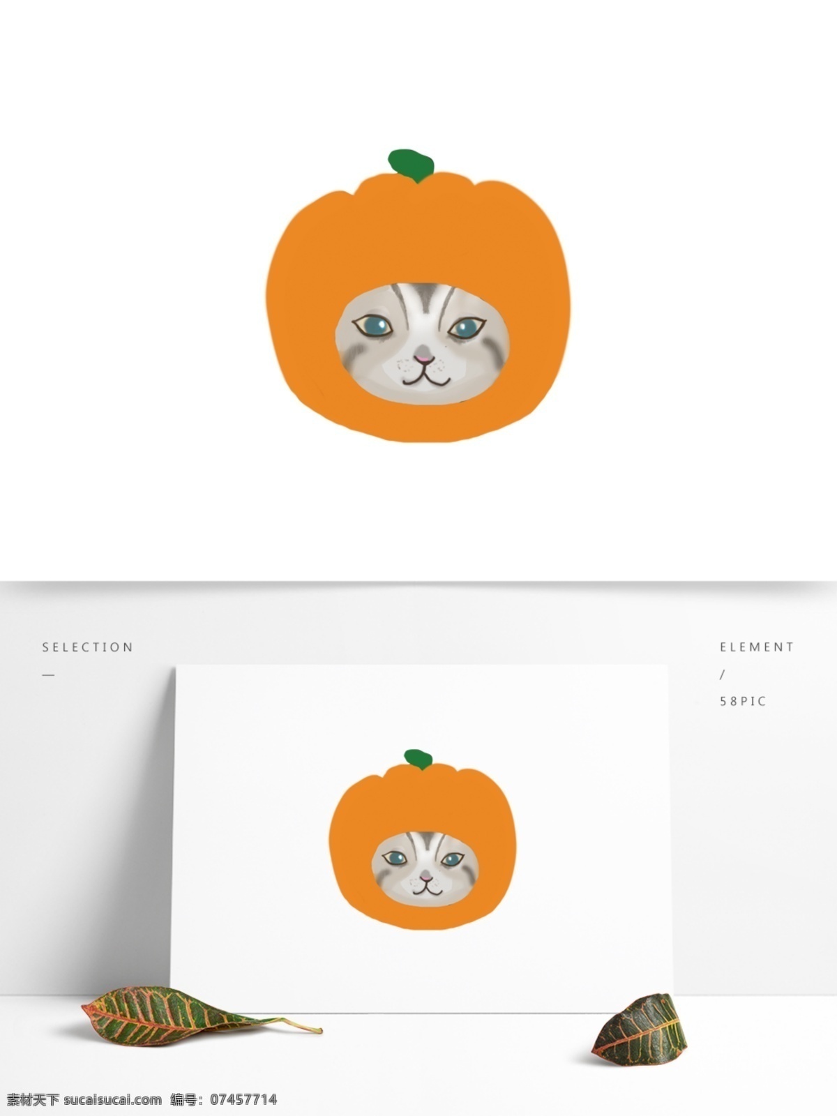 手绘 卡通 橘 猫 头像 橘猫 南瓜 橙色 灰色猫 猫咪