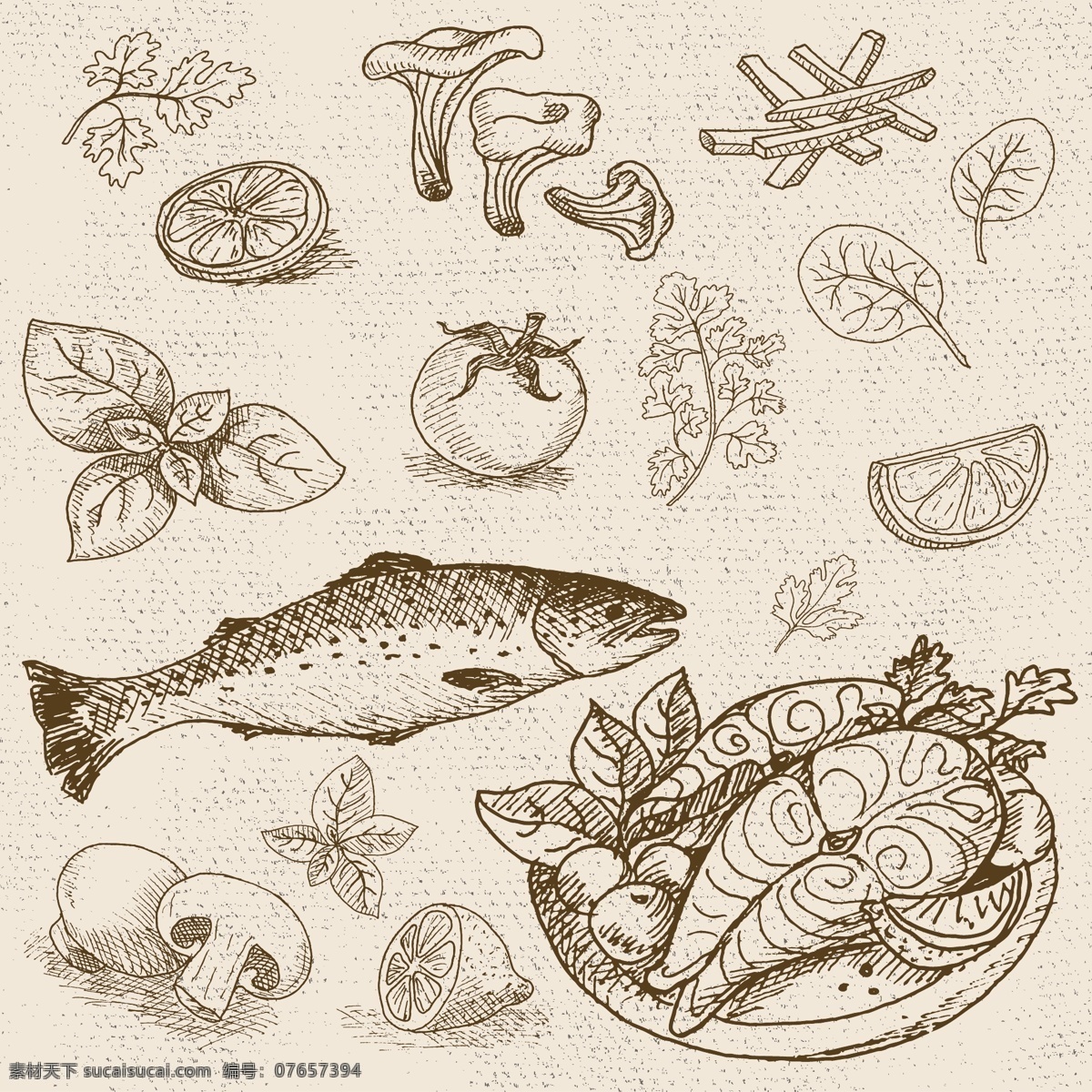 鱼肉 蘑菇 蔬菜 调料 烹饪 饮食 矢量 合集 厨房 水果 柠檬 黑板 手绘 英文 插画 线条 卡通