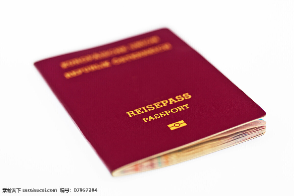 护照本 护照 签证 证件 出国证件 其他类别 生活百科 白色