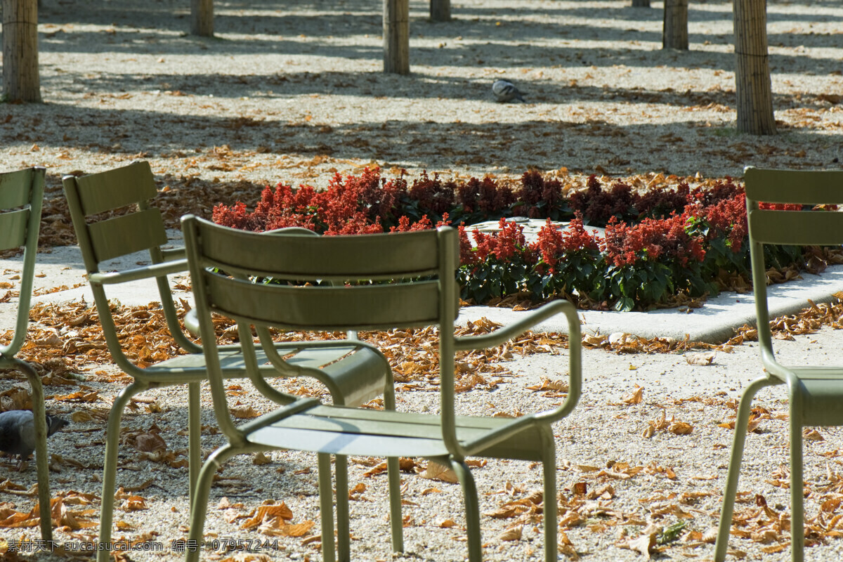 公园 风光摄影 花坛 椅子 大树 生态 枯叶 花草树木 生物世界