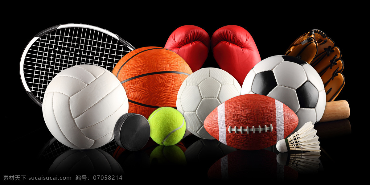 各种 球类 排球 篮球 足球 网球 羽毛球 棒球 拳击手套 体育用品 体育运动 户外运动 生活百科