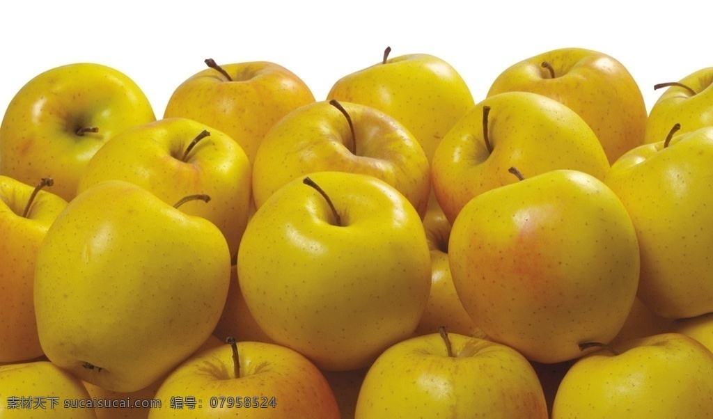 黄苹果 苹果 苹果背景 水果 水果背景 黄水果 绿色苹果 绿色水果背景 黄苹果背景 水果摄影 生物世界