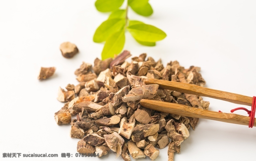 石菖蒲图片 石菖蒲 九节菖蒲 山菖蒲 药菖蒲 金钱蒲 菖蒲叶 水剑草 香菖蒲 中药 中药材 药材 食物 食材