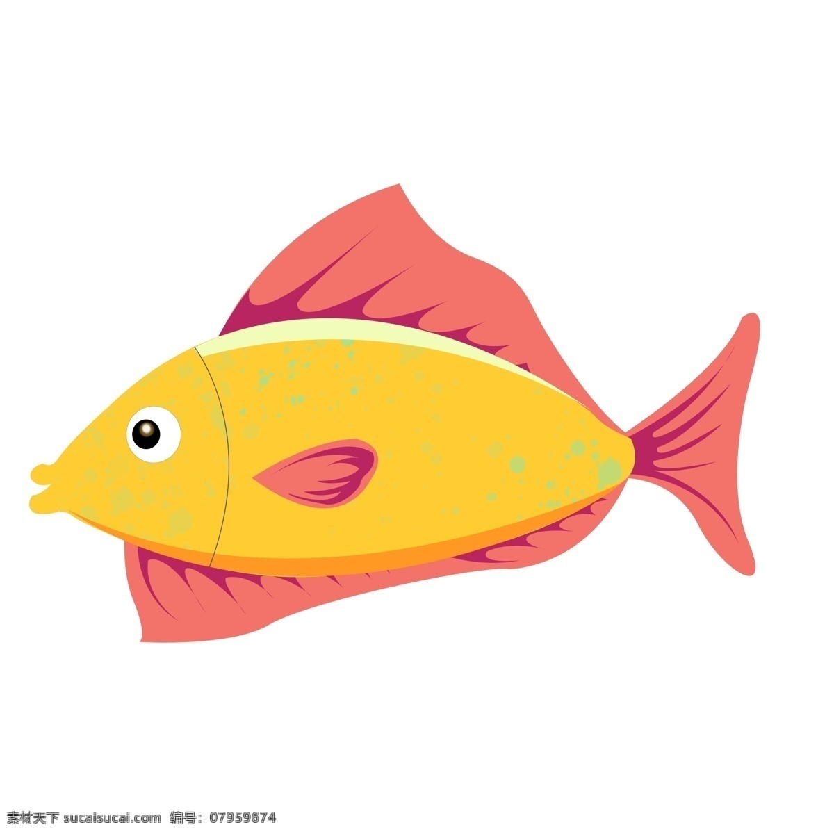 黄色 小鱼 海洋生物 生物