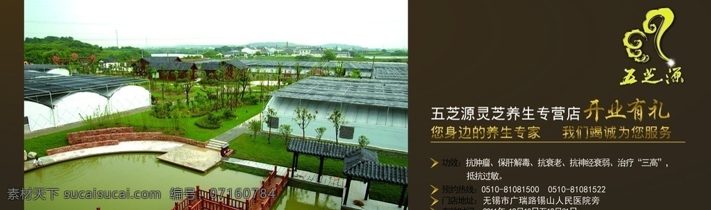 五芝源优惠券 优惠券 抵用券 五芝源 灵芝 绿色 大棚 名片卡片 广告设计模板 源文件