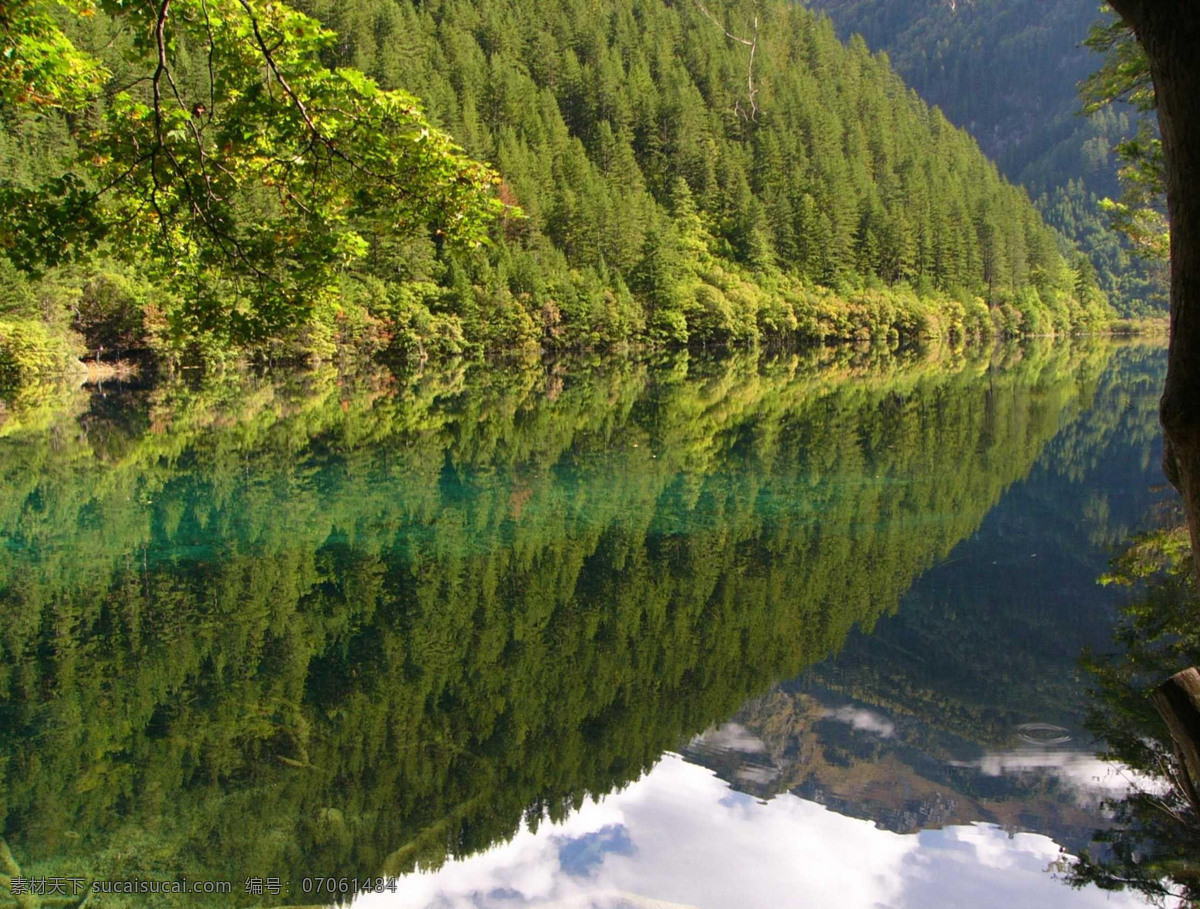 树免费下载 风景 山水风景 摄影图 树 植物 自然景观 水 家居装饰素材 山水风景画