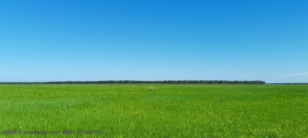 草原图片 草原 大西北 辽阔 一望无际 草 自然景观 自然风景