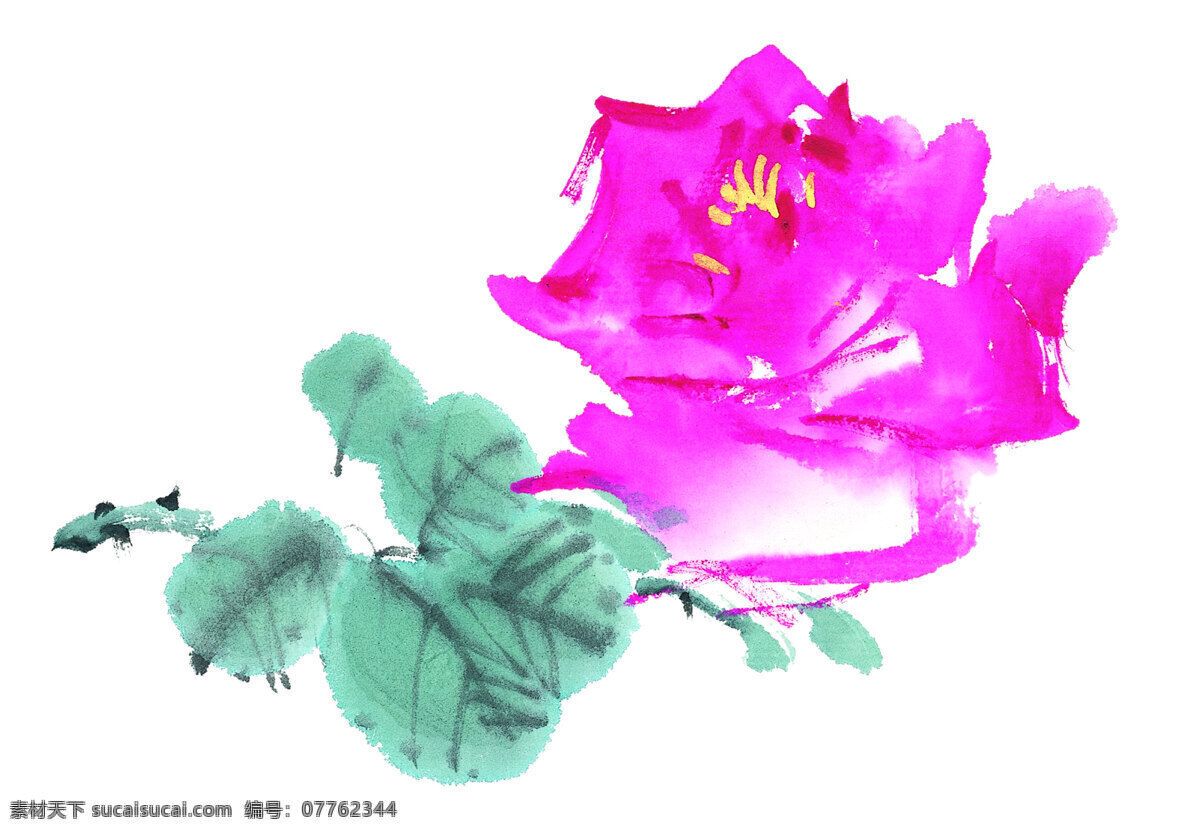 紫 红光 白描 工笔画 古画 国画 花卉 花鸟 泼墨 水墨 写意 文化艺术