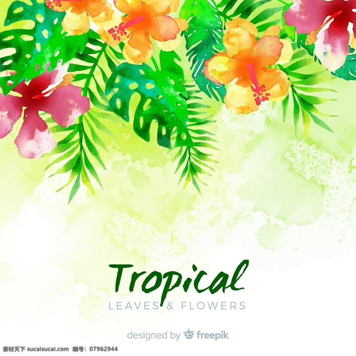 水彩 绘 美丽 热带 花卉 水彩绘 棕榈树叶 植物 生物世界 花草