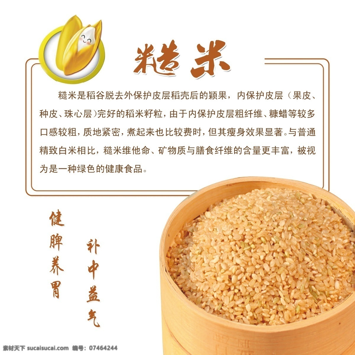 糙米 健康食品 大米 东北水稻 香米 分层