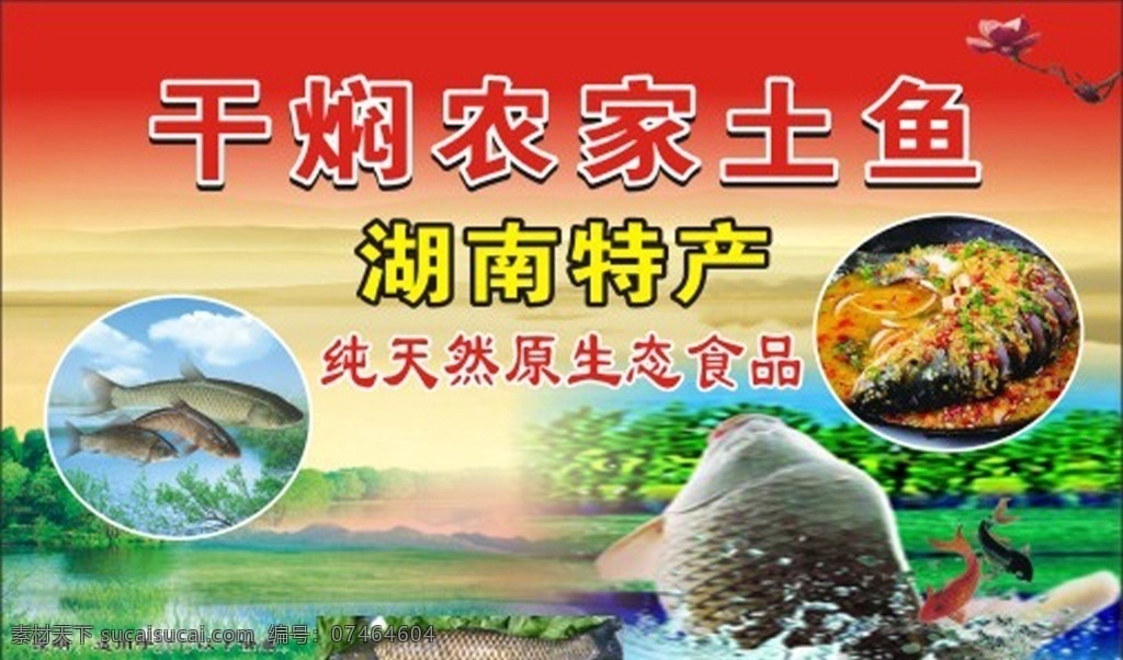 农家土鱼 土味鱼 鱼图片 农家鱼底图 特产鱼 底图 背景图 农家鱼海报 室外广告设计