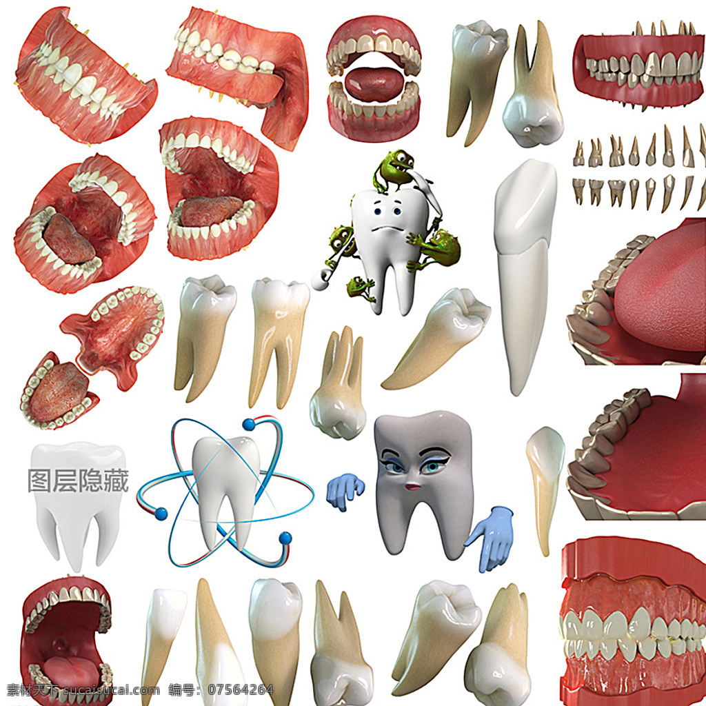 3d牙齿 3d 牙齿 牙科 门牙 犬牙 前臼齿 后臼齿 切齿 犬齿 假牙 牙肉 卡通牙齿 牙根 舌头 3d物体 分层 白色