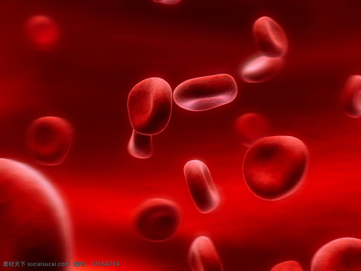 血液 内 红细胞 细胞 医学 科学 医疗 细胞图片 现代科技