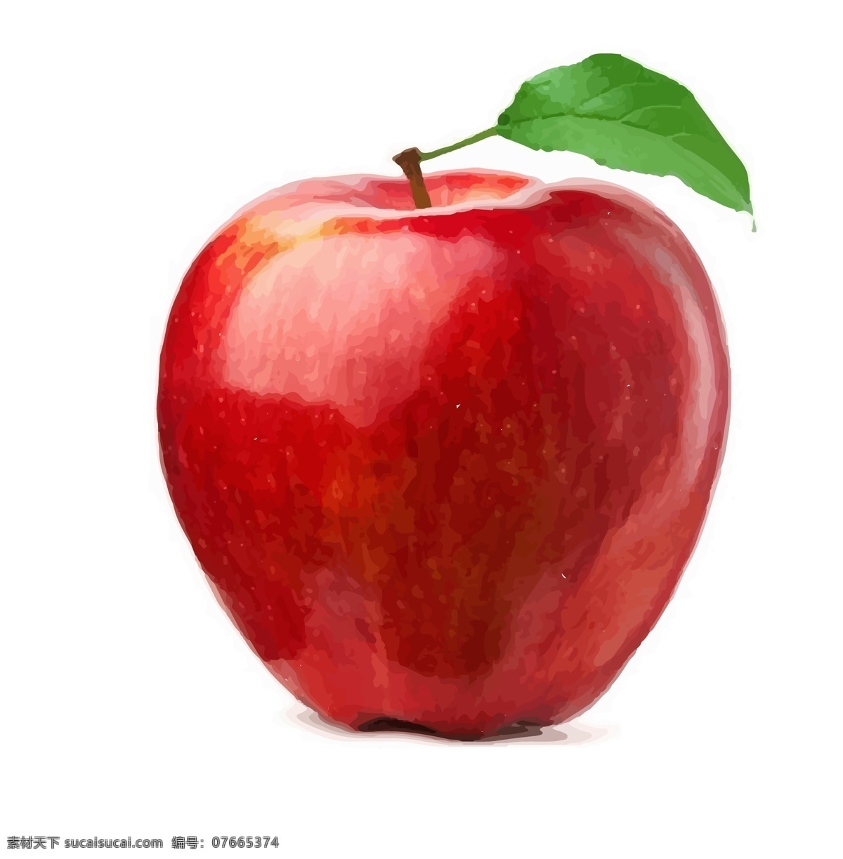 苹果矢量 苹果 矢量 矢量苹果 源文件 食品 水果
