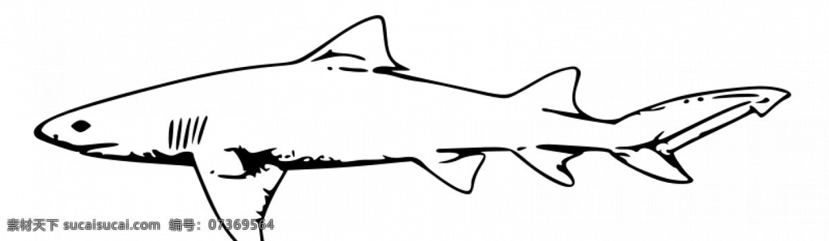 柠檬 鲨 矢量 轮廓 白色 动物 海上 剪贴画 鲨鱼 书 危险 线 艺术 剪辑 着色 鱼 杀 游泳 水 svg 矢量图 生物世界