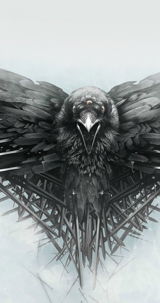 创意 鹰 插画 手机 壁纸 创意壁纸 高清壁纸 手机壁纸 手机高清壁纸 壁纸大全