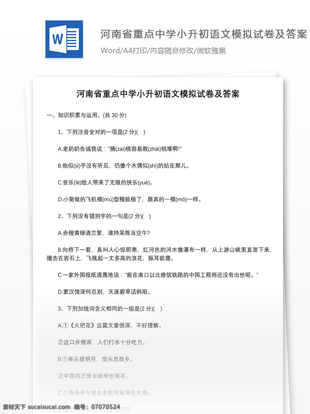 河南省 重点中学 小升 初 语文 模拟试卷 答案 word 教育资料 模拟试题 试题答案 文档模板 小学试卷 小学语文 学习资料 语文试卷 语文资料